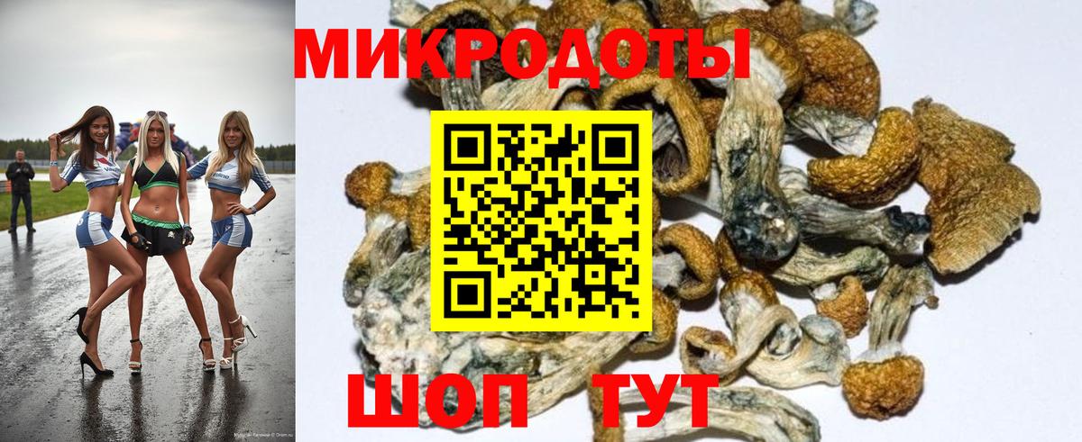 Галлюциногенные грибы Cubensis  Галлюциногенные грибы GOLDEN TEACHER  Полевской  Вход с VPN 